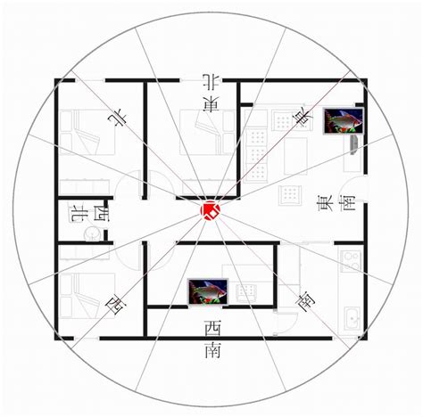 坐西南朝東北好嗎|坐西南朝東北的12個房屋風水專業建議，助你選擇最佳住宅 